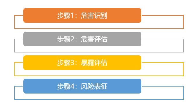  风险评估
