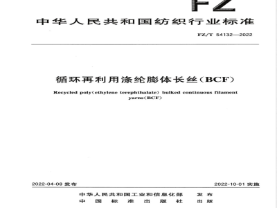 FZ/T 54132-2022循环再利用涤纶膨体长丝（BCF） 
