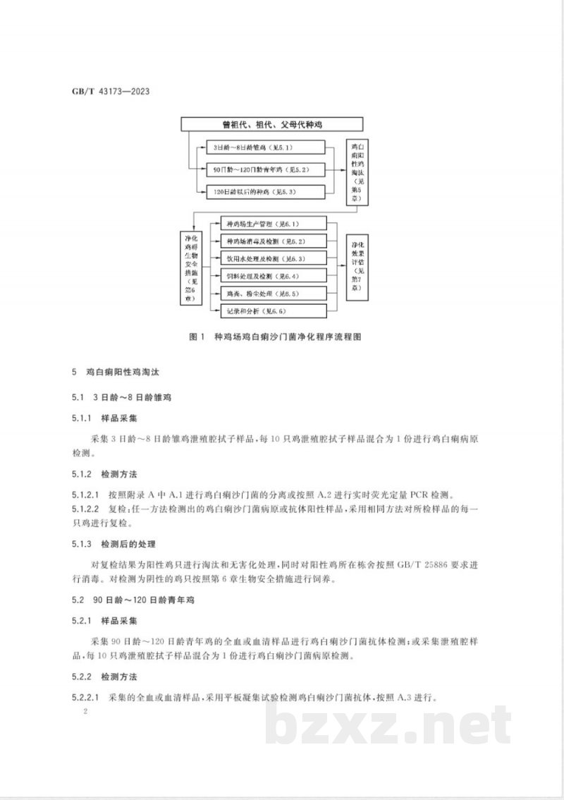 GB/T 43173-2023种鸡场鸡白痢沙门菌净化规程 
