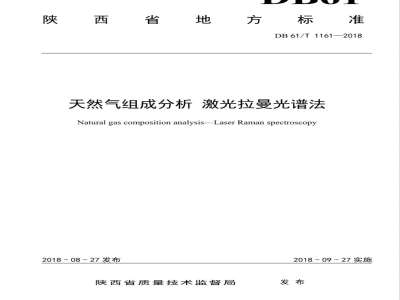 DB61/T 1161-2018天然气组成分析 激光拉曼光谱法警
