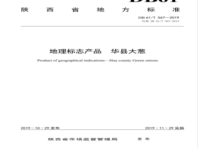 DB61/T 567-2019地理标志产品 华县大葱