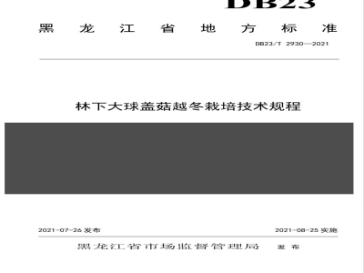 DB23/T 2930-2021林下大球盖菇越冬栽培技术规程
