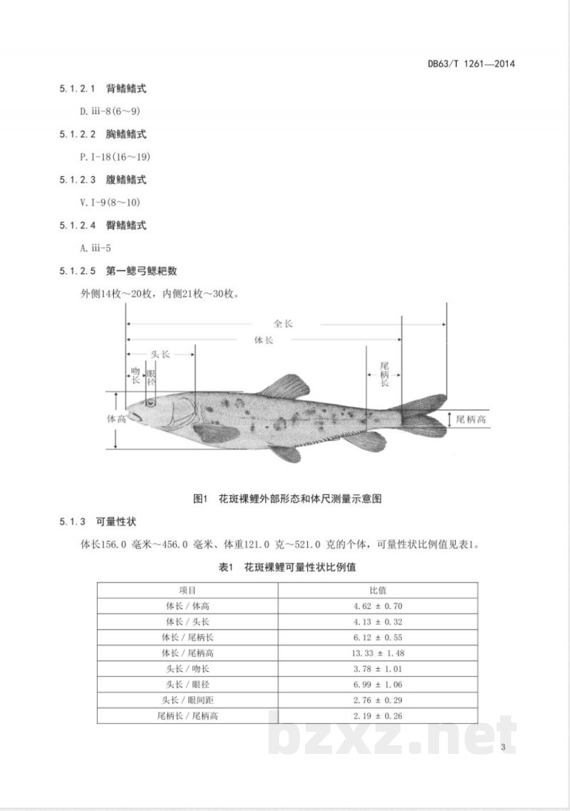 DB63/T 1261-2014花斑裸鲤