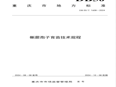 DB50/T 1608-2024槲蕨孢子育苗技术规程