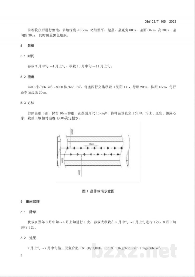 DB6102/T 105-2022丹参垄作栽培技术规范