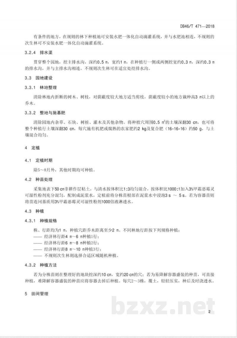 DB46/T 471-2018海南砂仁林下种植技术规程