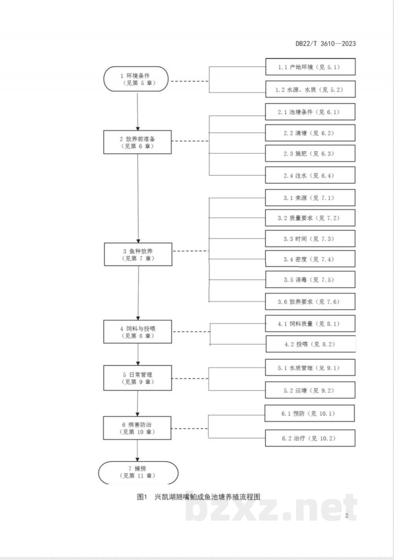 DB22/T 3610-2023兴凯湖翘嘴鲌成鱼池塘养殖技术规程