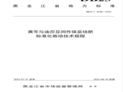 DB23/T 3528-2023黄岑与油莎豆间作保苗培肥标准化栽培技术规程