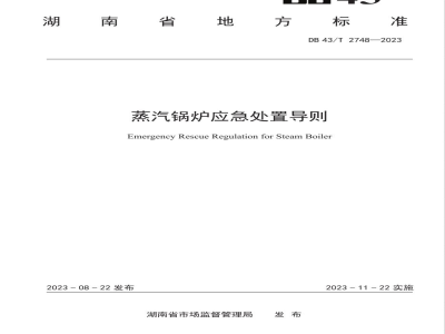 DB43/T 2748-2023蒸汽锅炉应急处置导则