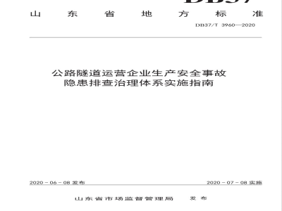 DB37/T 3960-2020公路隧道运营企业生产安全事故隐患排查治理体系实施指南