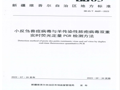 DB65/T 4669-2023小反刍兽疫病毒与羊传染性脓疱病毒双重实时荧光定量PCR检测方法