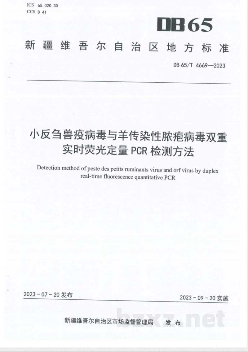 DB65/T 4669-2023小反刍兽疫病毒与羊传染性脓疱病毒双重实时荧光定量PCR检测方法