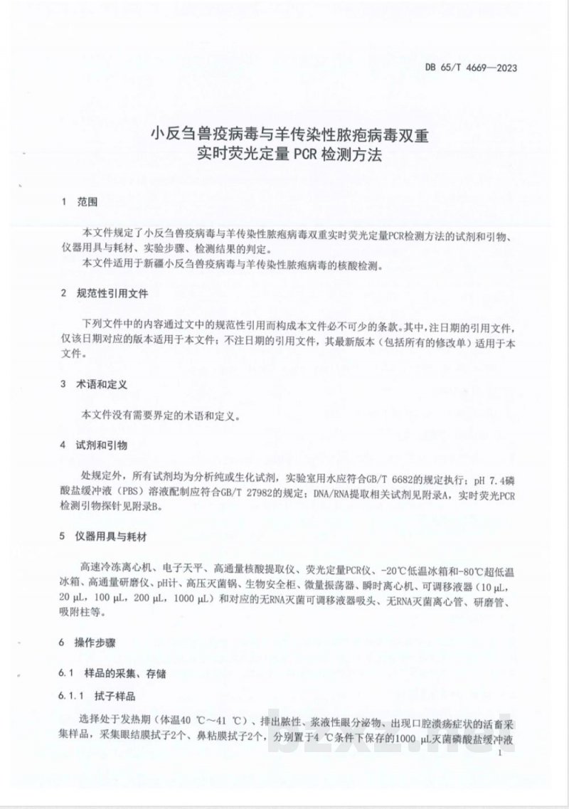 DB65/T 4669-2023小反刍兽疫病毒与羊传染性脓疱病毒双重实时荧光定量PCR检测方法