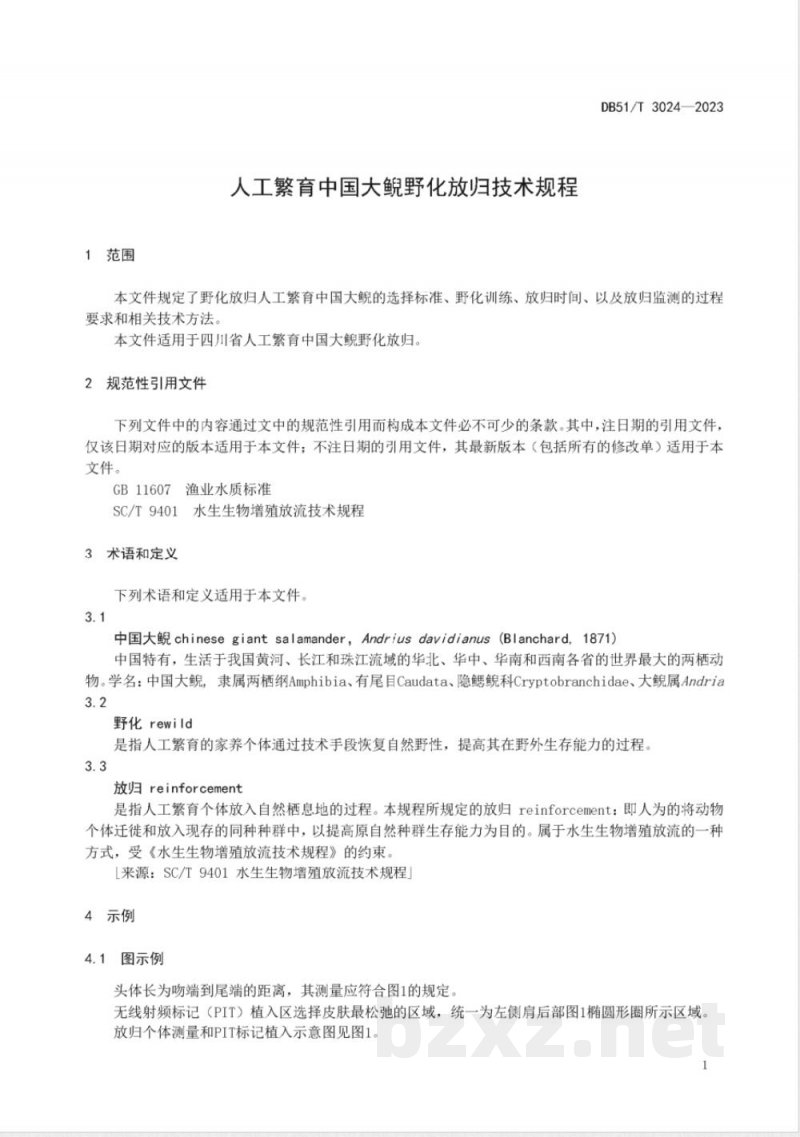 DB51/T 3024-2023人工繁育中国大鲵野化放归技术规程