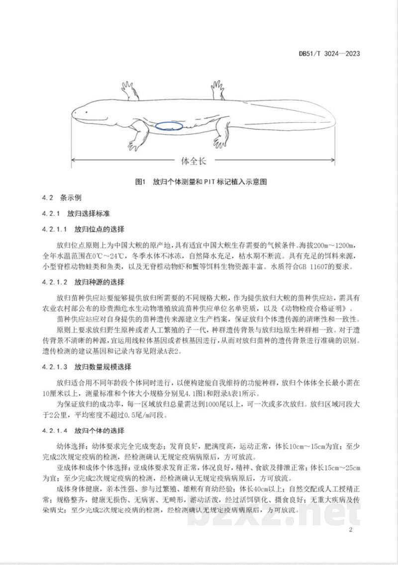 DB51/T 3024-2023人工繁育中国大鲵野化放归技术规程