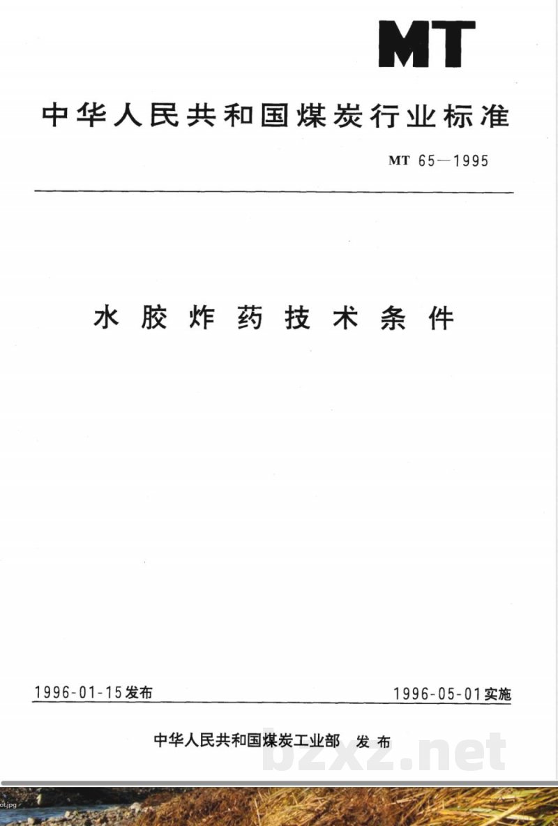 MT 65-2007 水胶炸药技术条件