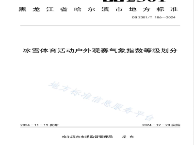 DB2301/T 186-2024冰雪体育活动户外观赛气象指数等级划分