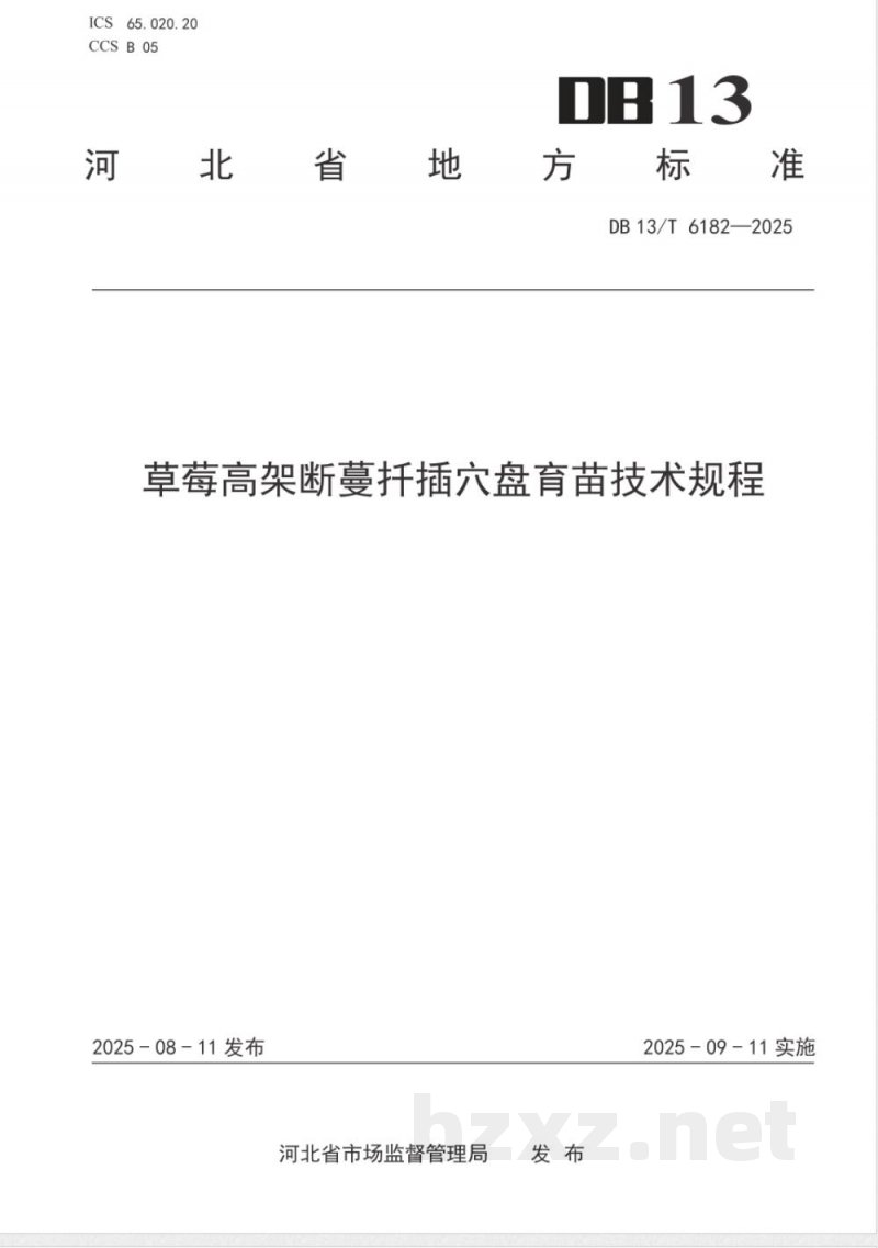 DB13/T 6182-2025草莓高架断蔓扦插穴盘育苗技术规程