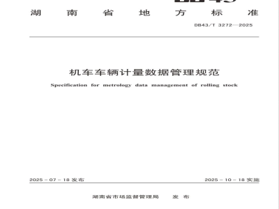 DB43/T 3272-2025机车车辆计量数据管理规范