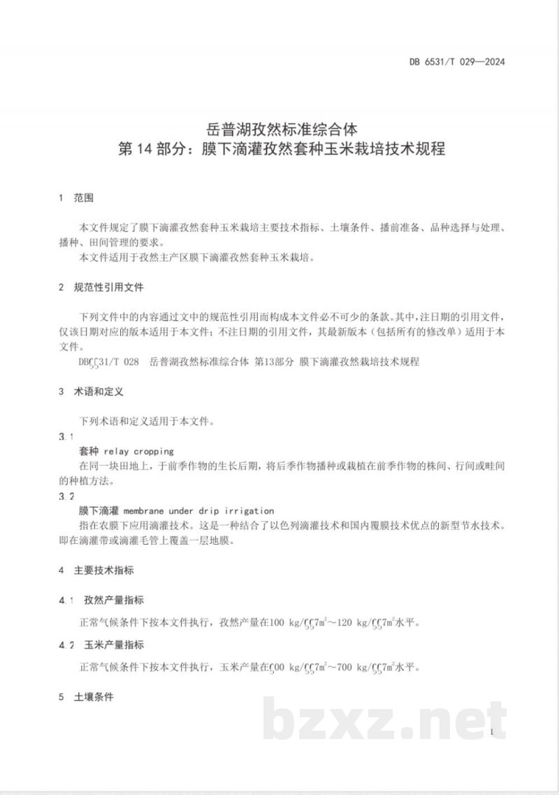 DB6531/T 029-2024岳普湖孜然标准综合体 第14部分：膜下滴灌孜然套种玉米栽培技术规程
