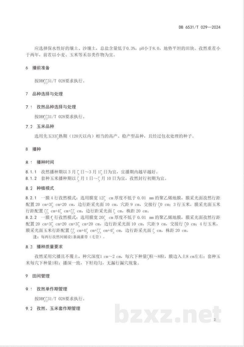 DB6531/T 029-2024岳普湖孜然标准综合体 第14部分：膜下滴灌孜然套种玉米栽培技术规程