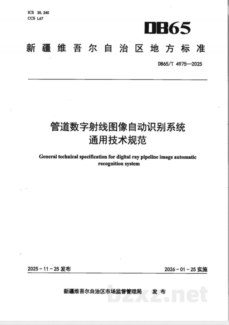 DB65/T 4975-2025管道数字射线图像自动识别系统通用技术规范