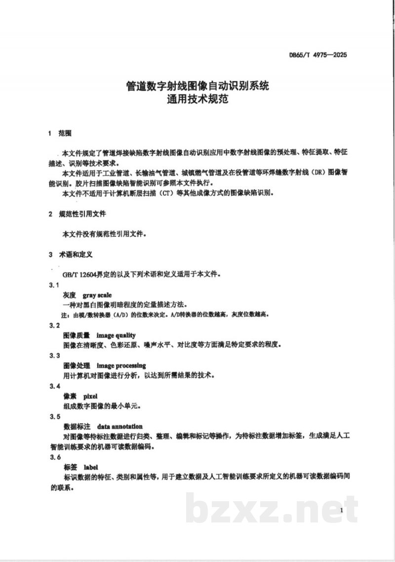 DB65/T 4975-2025管道数字射线图像自动识别系统通用技术规范