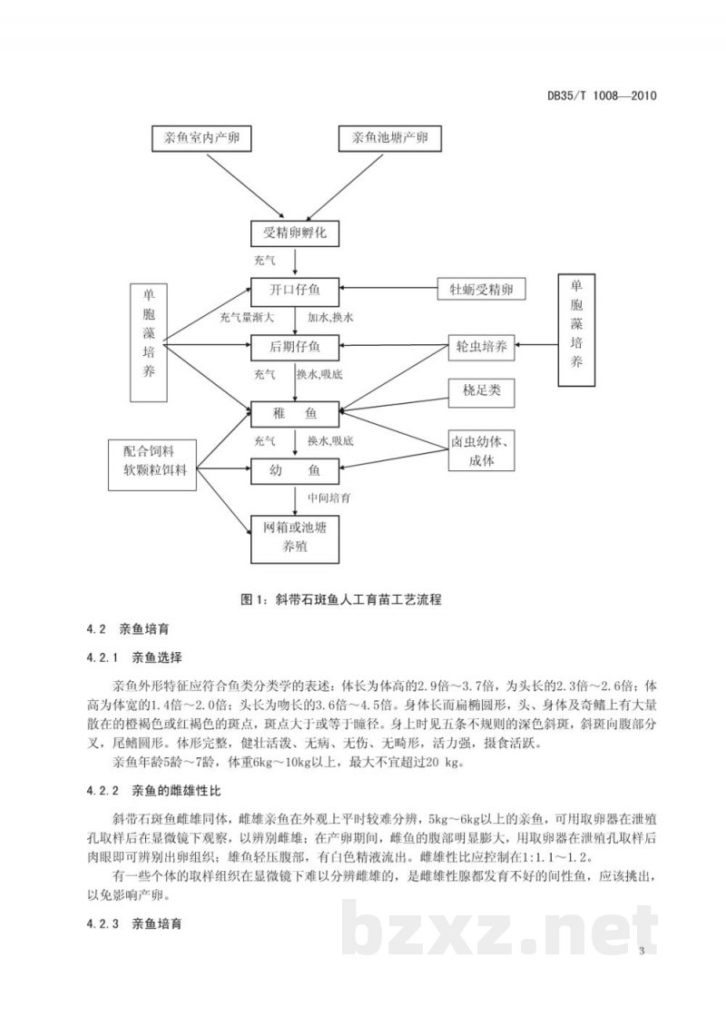 DB35/T 1008-2010斜带石斑鱼人工育苗技术规范