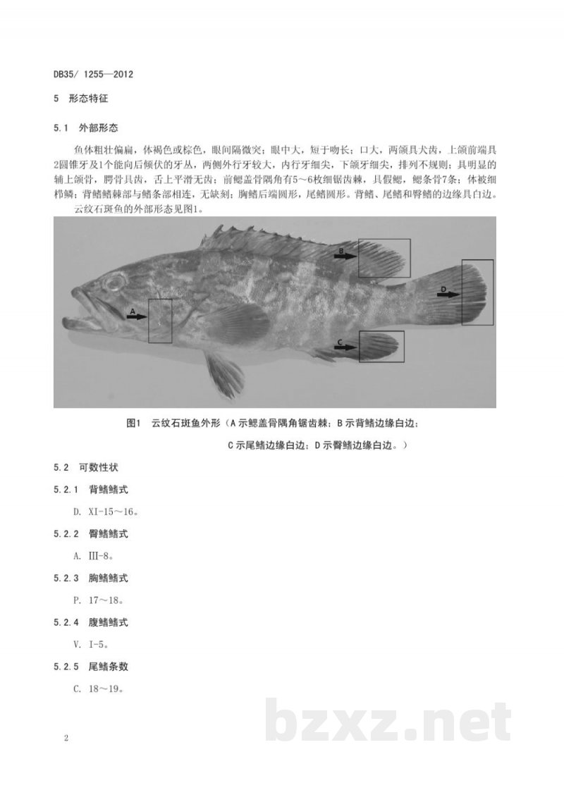 DB35/ 1255-2012云纹石斑鱼种质标准