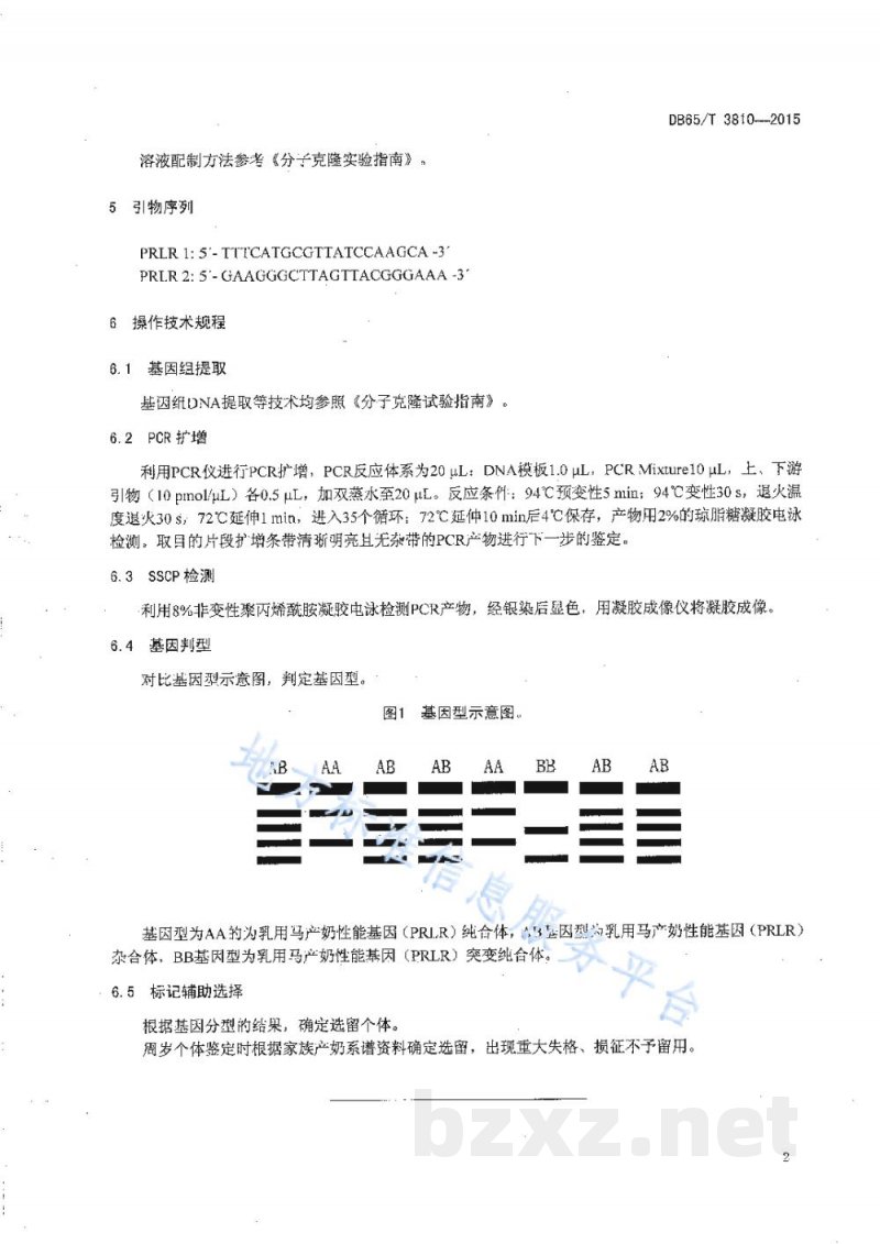 DB65/T 3810-2015乳用马分子标记辅助选育技术规程
