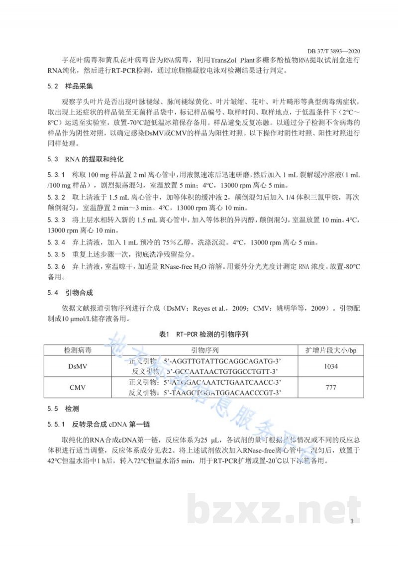 DB37/T 3893-2020芋头病毒检测技术规程