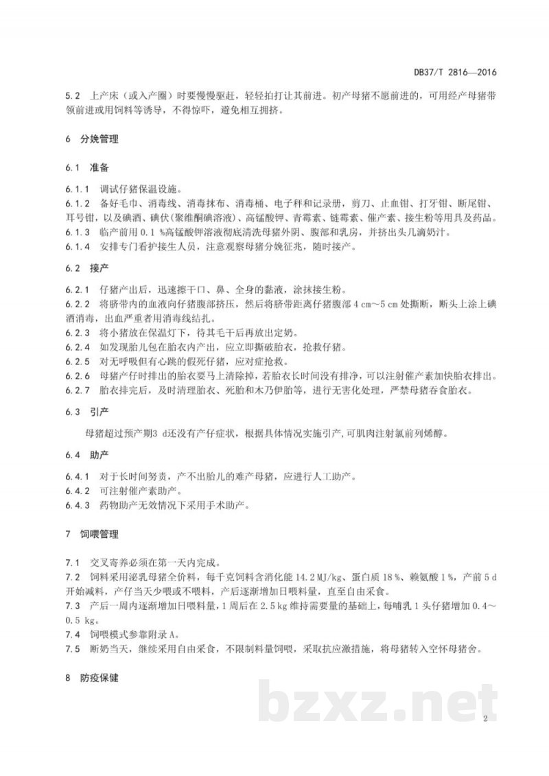 DB37/T 2816-2016泌乳母猪饲养管理技术规范