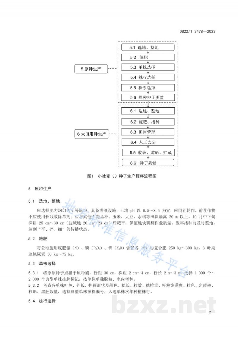 DB22/T 3478-2023小冰麦33种子生产技术规程