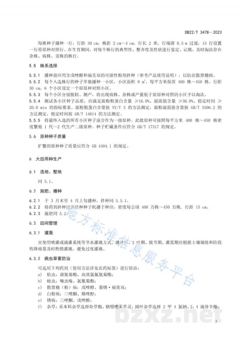 DB22/T 3478-2023小冰麦33种子生产技术规程