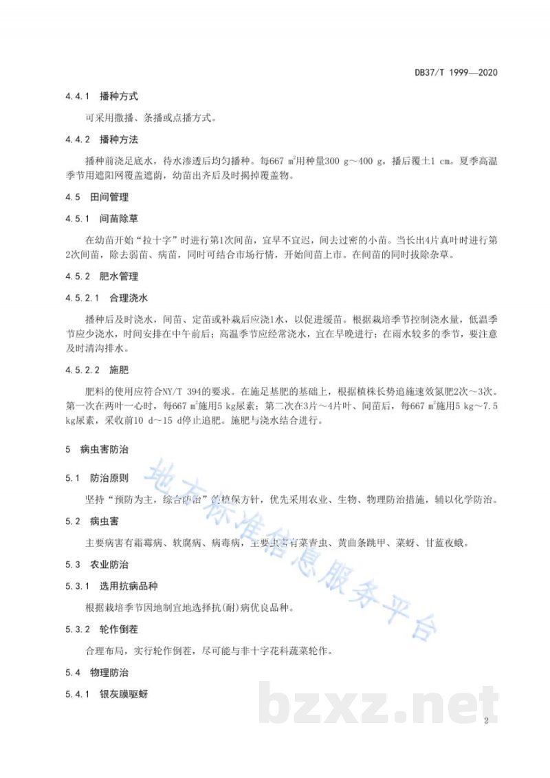 DB37/T 1999-2020绿色食品 不结球白菜生产技术规程