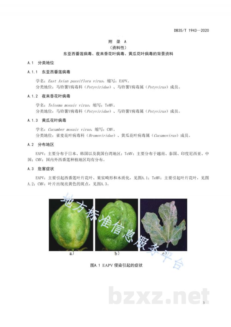 DB35/T 1943-2020百香果（西番莲）病毒检测技术规程