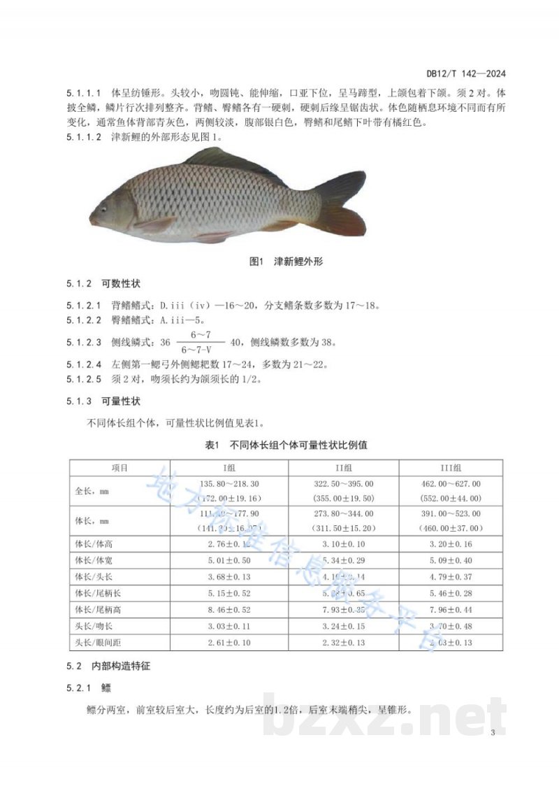 DB12/T 142-2024津新鲤种质鉴定技术规范