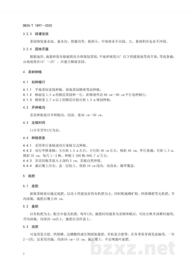DB35/T 1897-2020白茶 茶树栽培管理技术规范