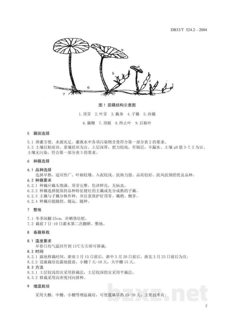 DB33/T 524.2-2004无公害田藕 第2部分：双季栽培技术规程