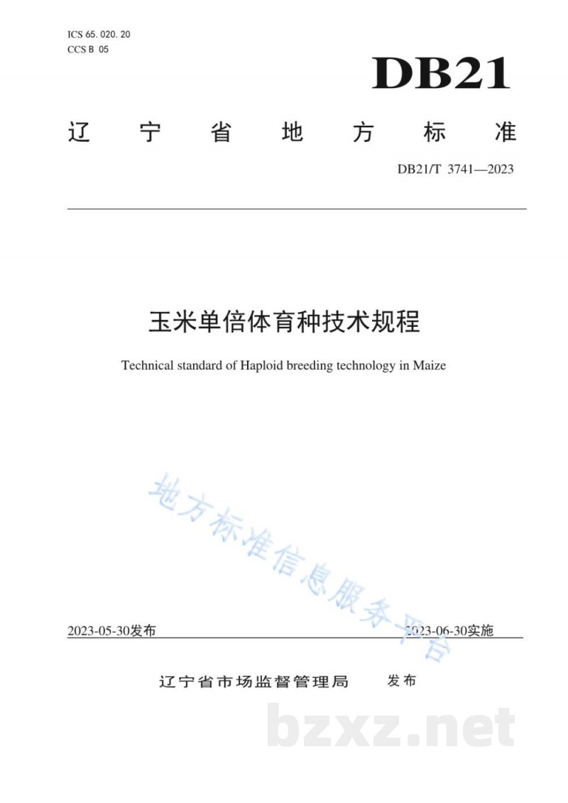DB21/T 3741-2023玉米单倍体育种技术规程