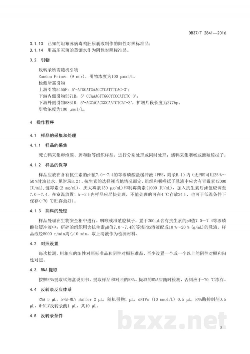DB37/T 2841-2016鸭坦布苏病毒半套式RT-PCR检测方法