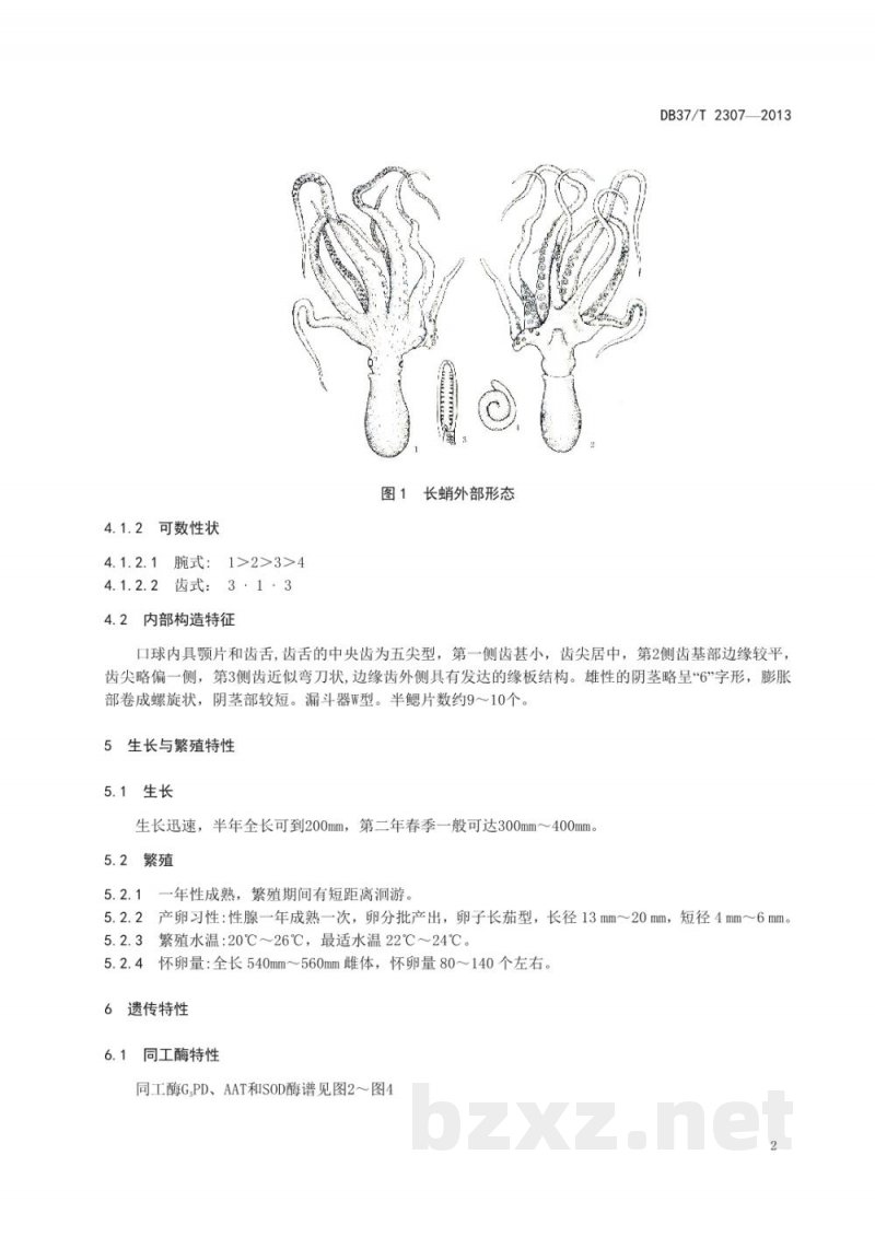 DB37/T 2307-2013长蛸(种质)