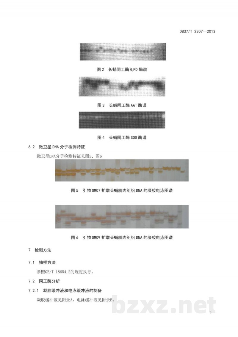 DB37/T 2307-2013长蛸(种质)