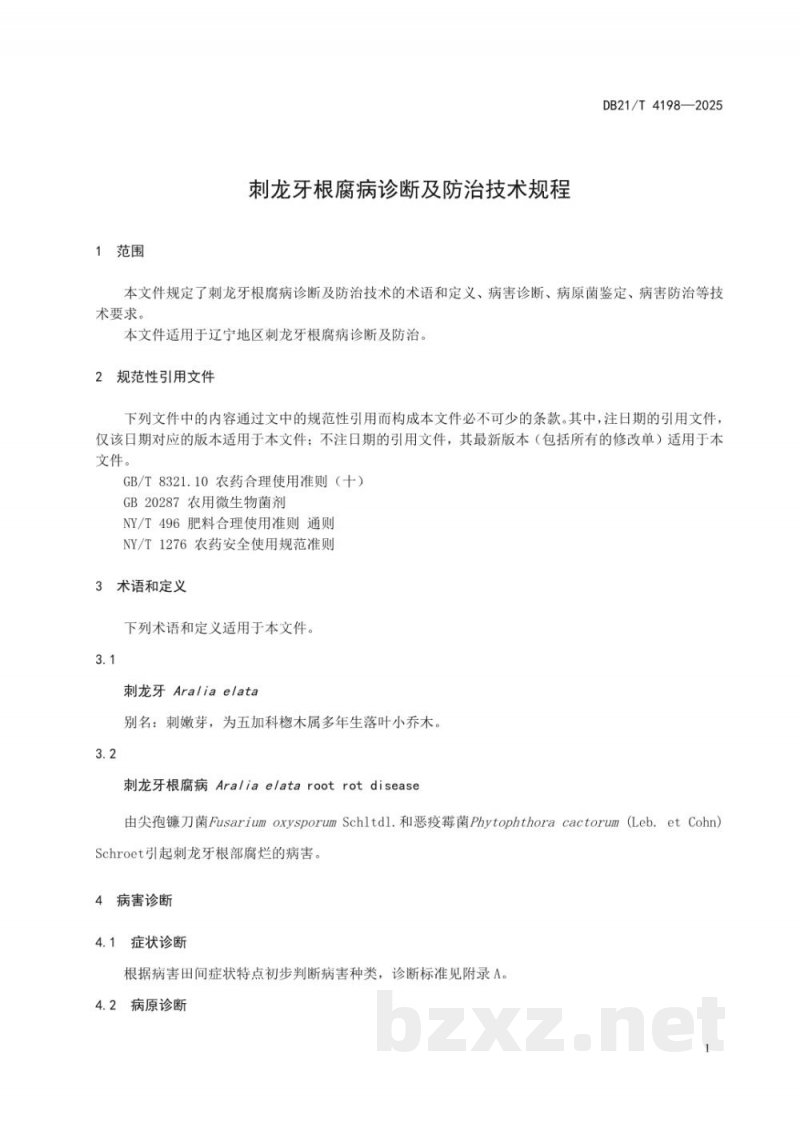DB21/T 4198-2025刺龙牙根腐病诊断及防治技术规程