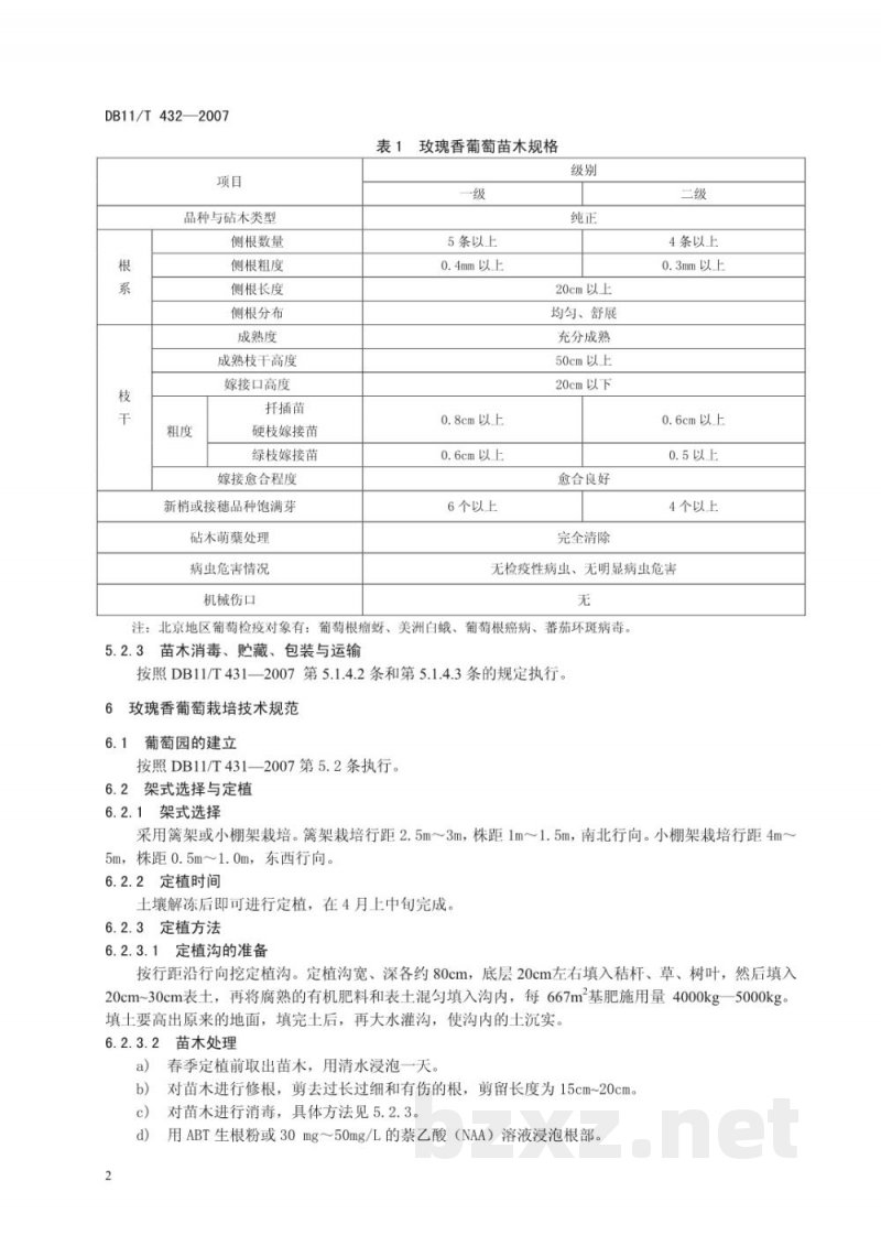 DB11/T 432-2007玫瑰香葡萄无公害生产综合技术
