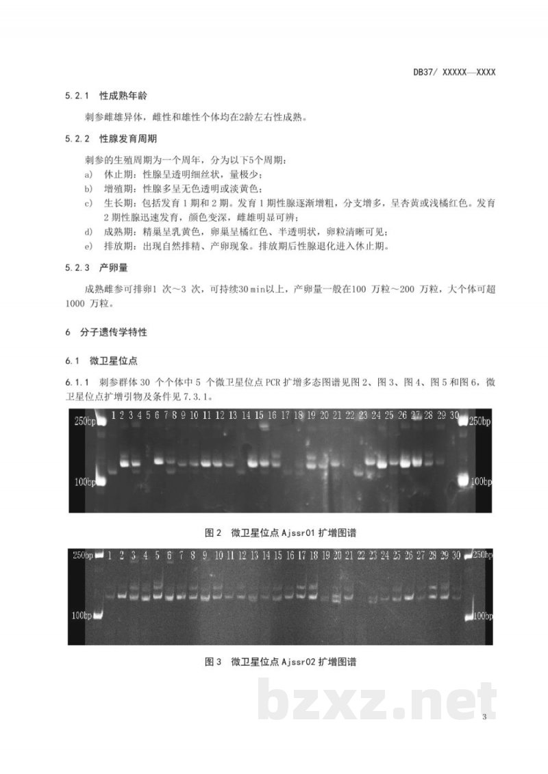 DB37/T 2292-2013刺参（种质）