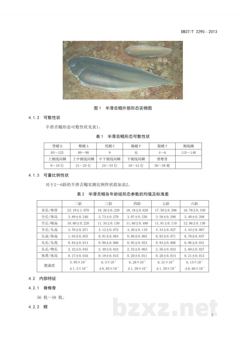 DB37/T 2290-2013半滑舌鳎(种质)