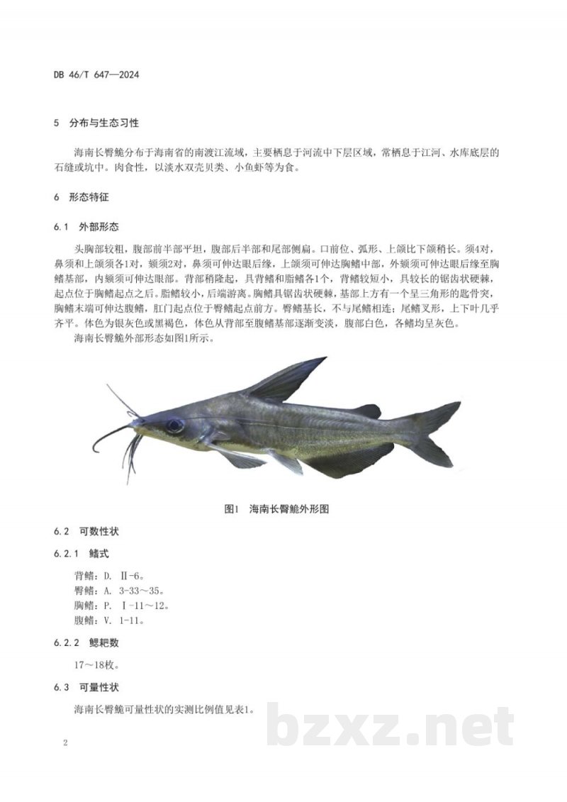 DB46/T 647-2024海南长臀鮠
