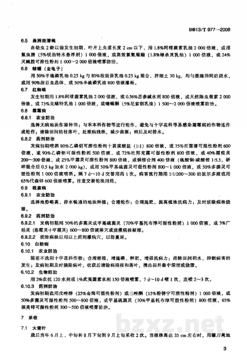 DB13/T 977-2008无公害板蓝根田间生产技术规程