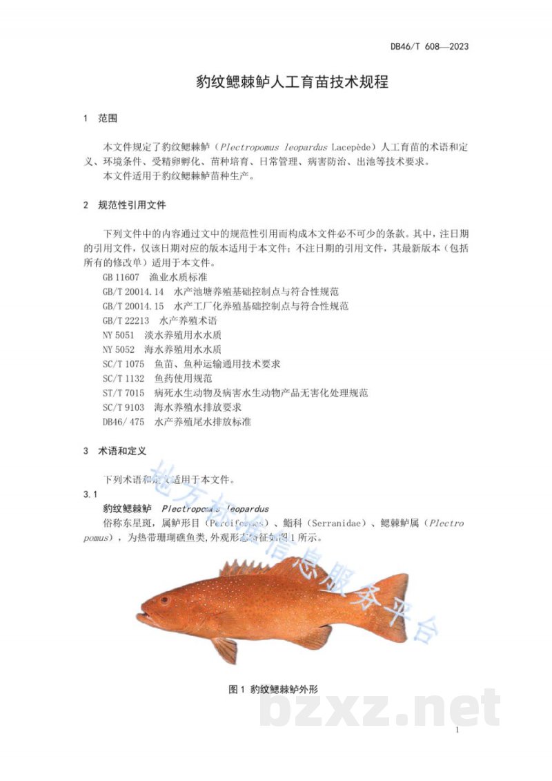 DB46/T 608-2023豹纹鳃棘鲈人工育苗技术规程